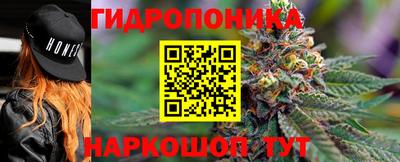 spice Камень-на-Оби