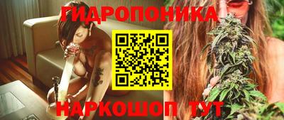 spice Камень-на-Оби