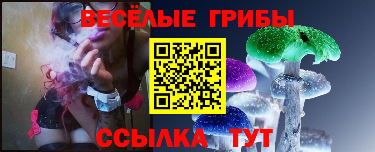 Галлюциногенные грибы ЛСД Новомосковск