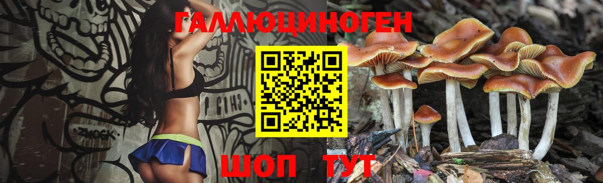 Галлюциногенные грибы ЛСД Новомосковск
