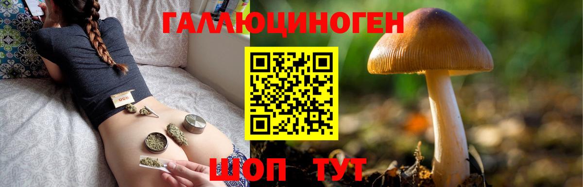 Новомосковск  Псилоцибиновые грибы MAGIC MUSHROOMS  Вход с VPN 